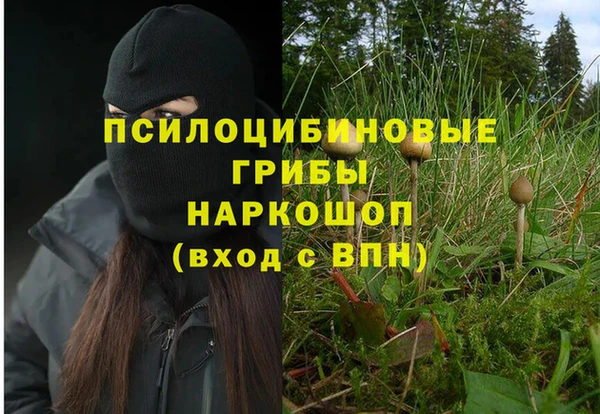 каннабис Алексеевка