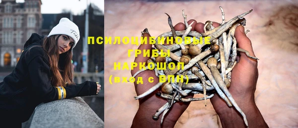прущие крисы Алзамай