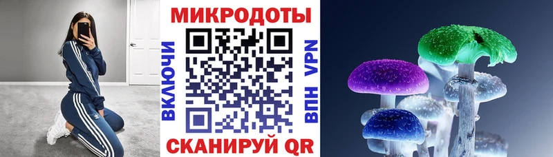 Галлюциногенные грибы мицелий  Камышин 